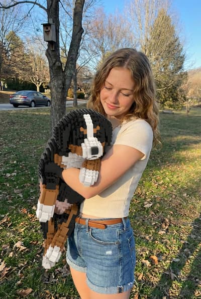 Blocks Pet