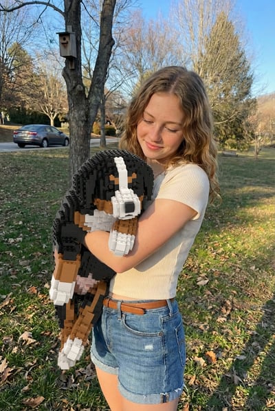Blocks Pet