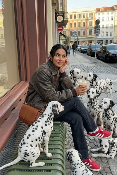 Dalmatians