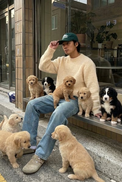 Puppies